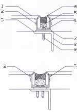 Angel and Seal Sydney